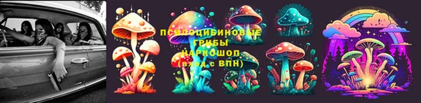 мдпв Сатка