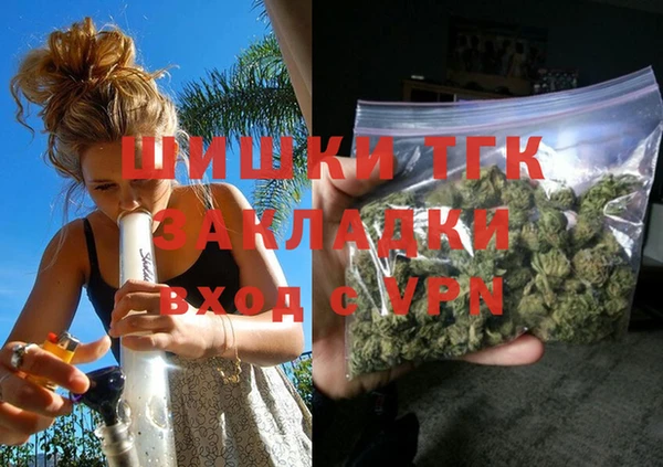 mdpv Бородино