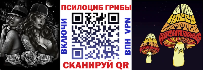 Галлюциногенные грибы Psilocybe  мориарти формула  Киселёвск 